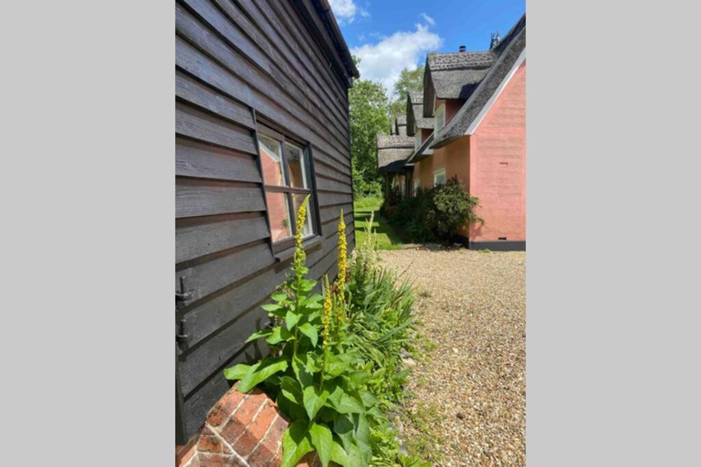 Gorgeous Comfortable Barn With Huge Private Orchard In Quiet Suffolk Location Depden Eksteriør bilde